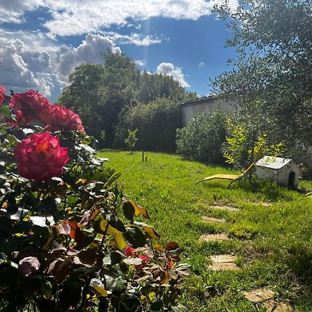 Gite De L'Olivier Nyons Buitenkant foto