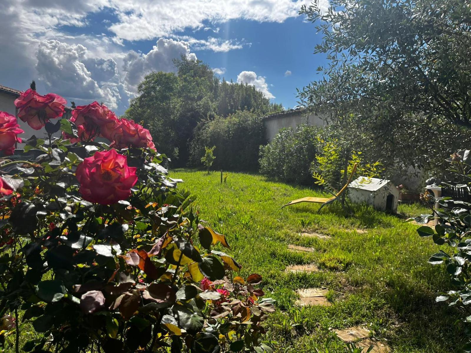 Gite De L'Olivier Nyons Buitenkant foto